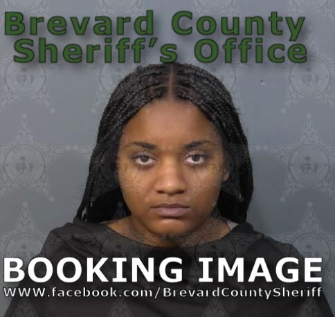 Mugshot of Rachel Michelle Flippen
