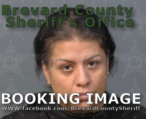 Mugshot of Amanda Jordan Brown