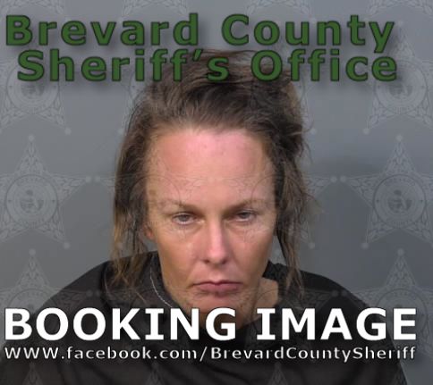 Mugshot of Chrystal Therese Bronzell