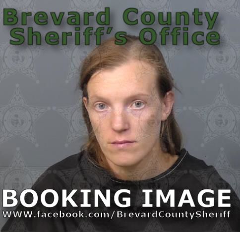 Mugshot of Daria Anika Rustick