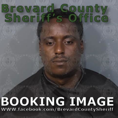 Mugshot of Whingy Stallone Maxis