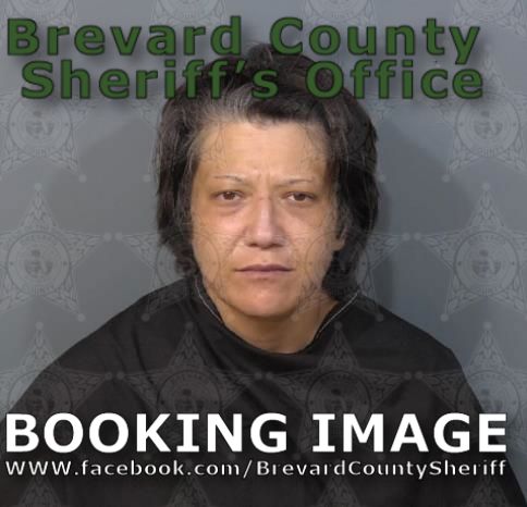 Mugshot of Brittany Elizabeth Stiefel