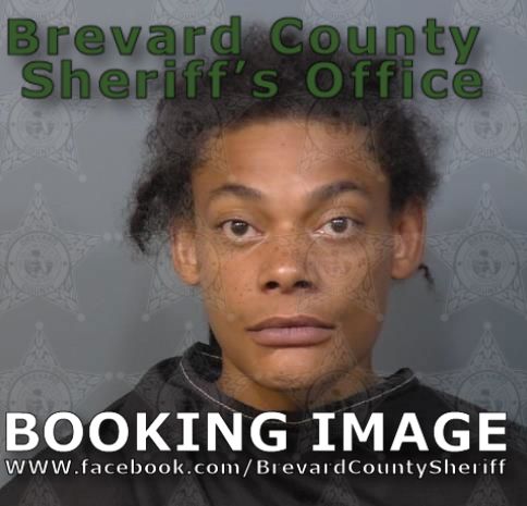 Mugshot of Hersey Vincent Robertson