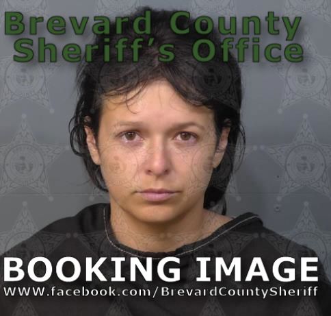 Mugshot of Ashleigh Ann Ladrew