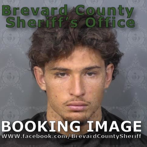 Mugshot of Gabriel Luiz De Araujo