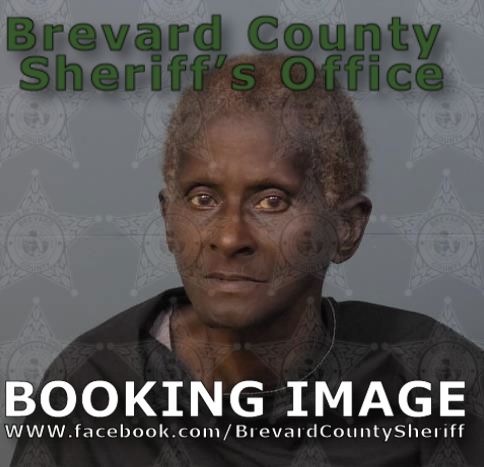 Mugshot of Laura Ann Harper