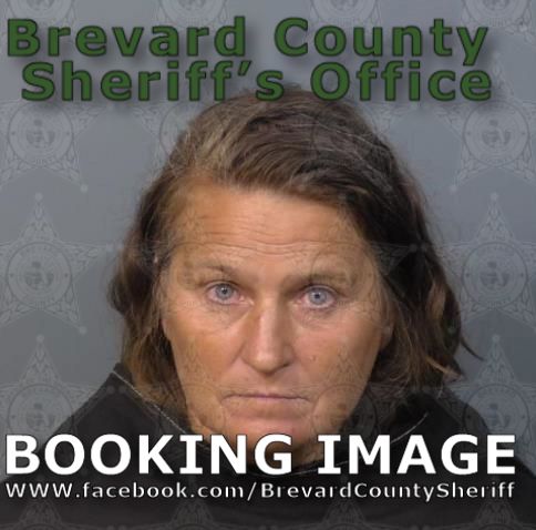 Mugshot of Shawna Lee Lyles