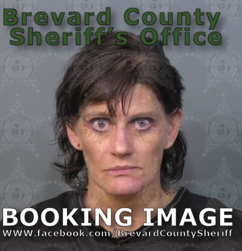 Mugshot of Jessica Ann Nolte