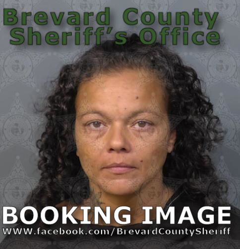Mugshot of Jessica E Alers