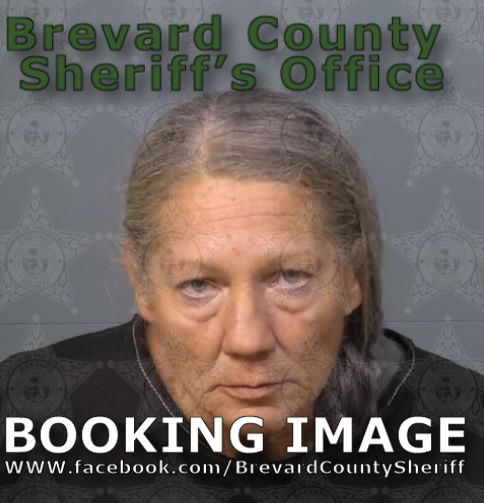 Mugshot of Malinda Lou Anspach