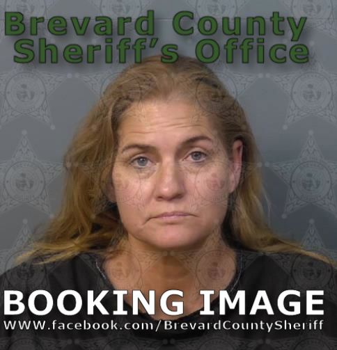 Mugshot of Lori Ann Schwartz