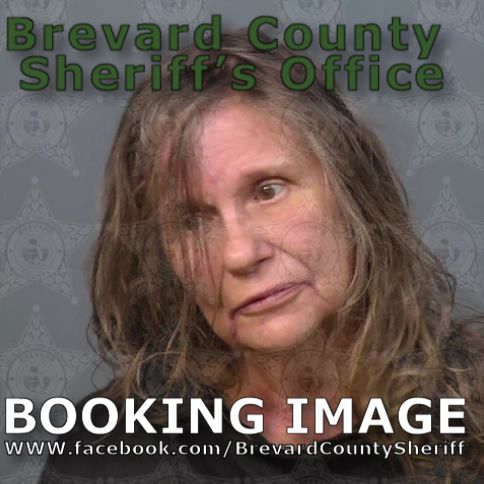 Mugshot of Carman Kay Hobday