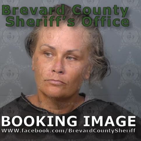 Mugshot of Heather Alexandrea O Donnell