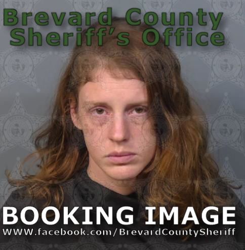 Mugshot of Ashly Nichole Seymour