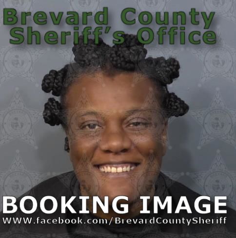 Mugshot of Evony Shante Wilson
