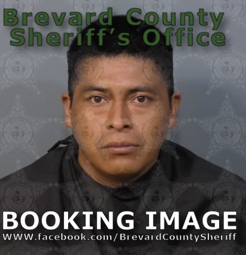 Mugshot of Cristobal Sales Sales