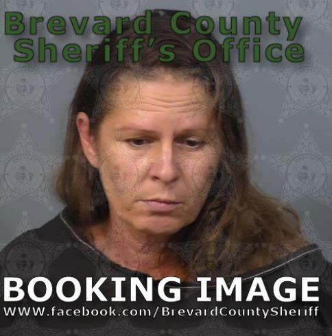 Mugshot of Vanessa Charlotte Poindexter