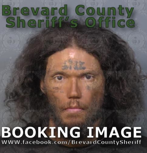 Mugshot of John Marshall Ireland