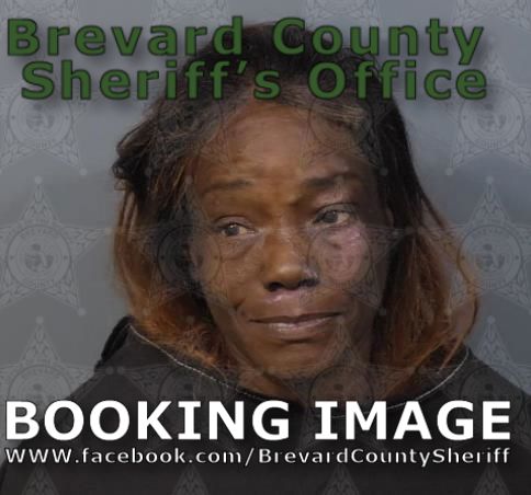 Mugshot of Sonya Denise Peterson