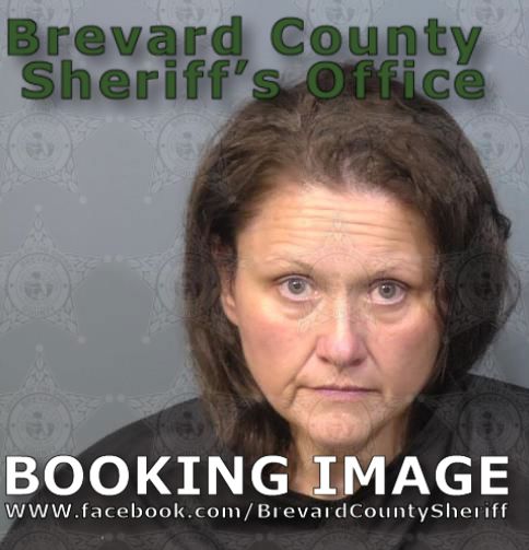 Mugshot of Sonya Lynn Hernandez