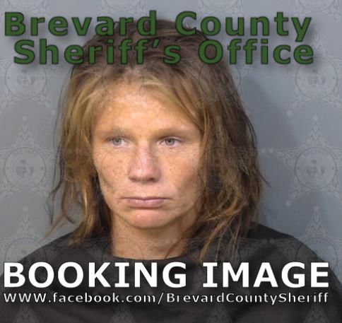 Mugshot of Ashley Marie Mceachern