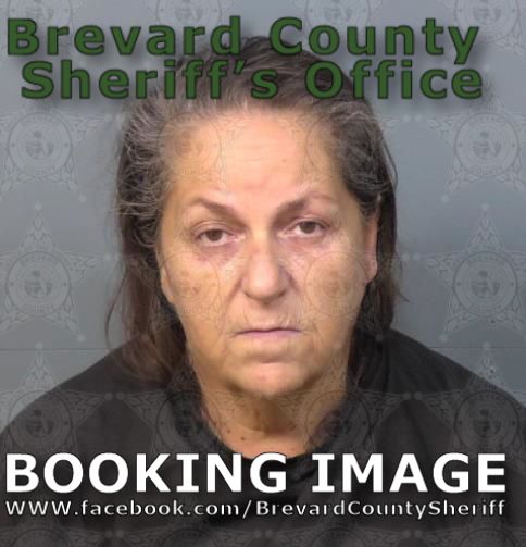 Mugshot of Cindy Ann Wilcox