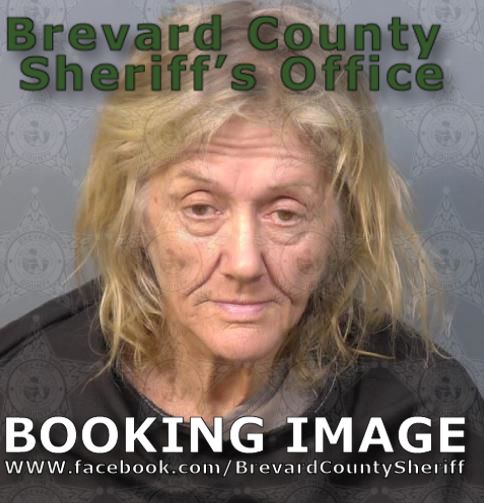 Mugshot of Terri Joann Latonik