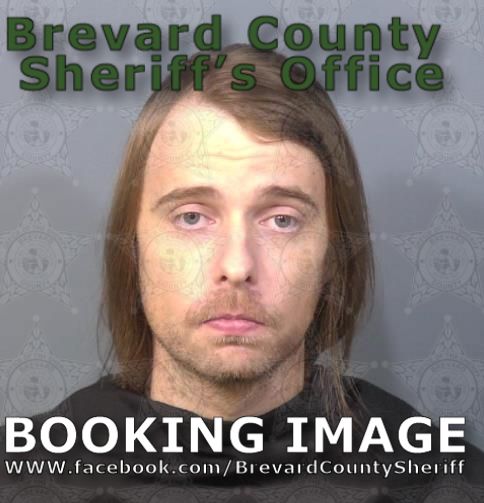 Mugshot of Dalton Gunnar Nelson