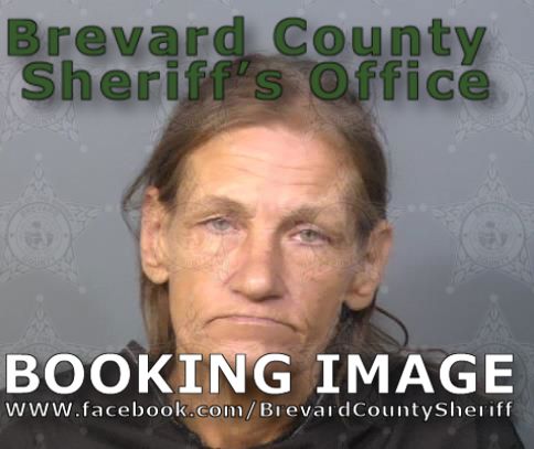 Mugshot of Danielle Nicole Davis