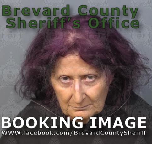Mugshot of Debra Ramos