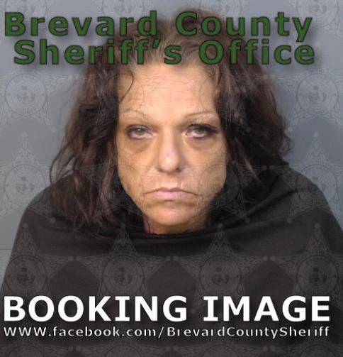 Mugshot of Jamie Lyn Heath