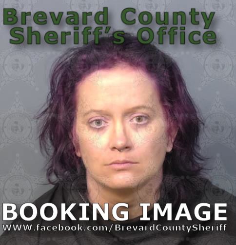 Mugshot of Amanda Marie Bleker