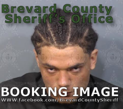 Mugshot of Donovan Nigel Lee