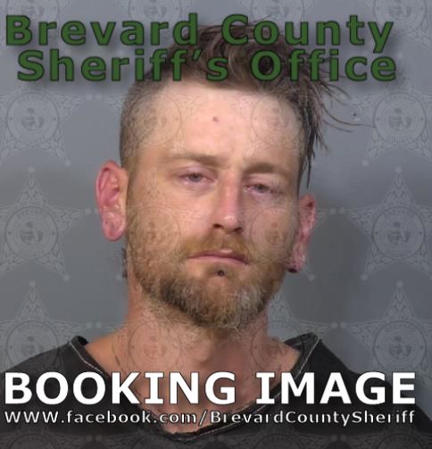 Mugshot of Valen Gyorvary