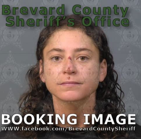 Mugshot of Amber Williams