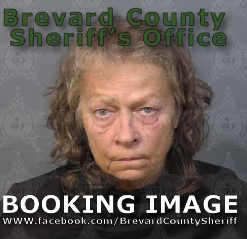Mugshot of Dawn Tierney