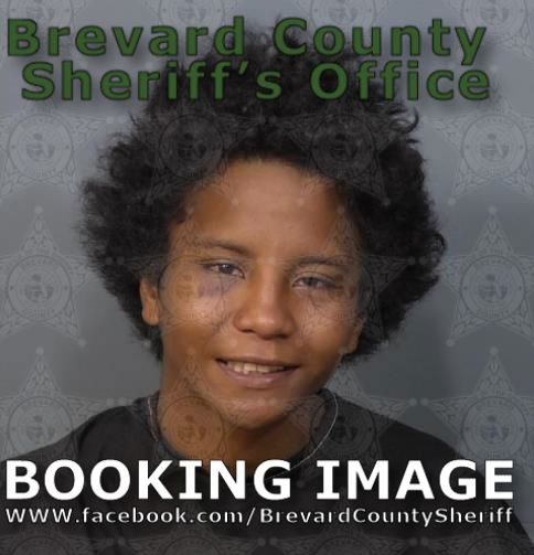 Mugshot of Heaven Powell