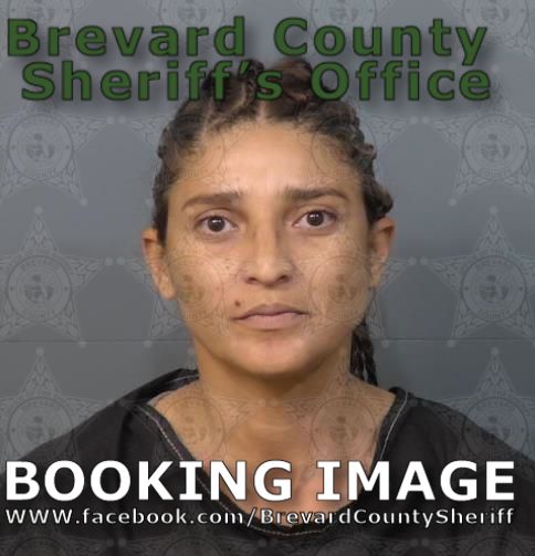 Mugshot of Laura Alvarado Delgado