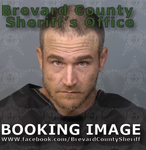 Mugshot of Chris Haviland