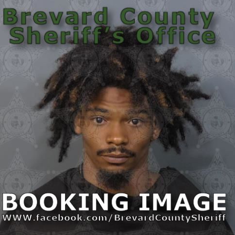 Mugshot of Tristen Eamon Brice