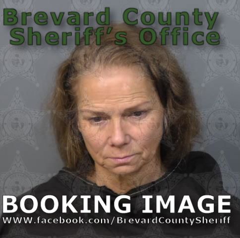 Mugshot of Misty Viola Tipper