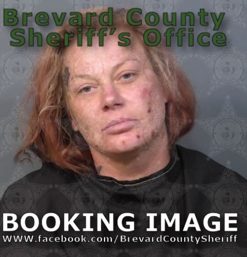 Mugshot of Sonya Jean Sloan