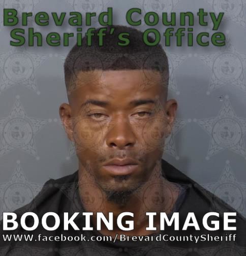 Mugshot of Christopher Davidson