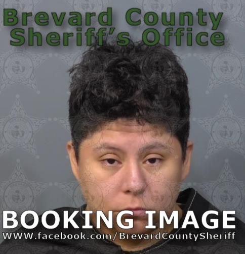 Mugshot of Andrea Gonzales