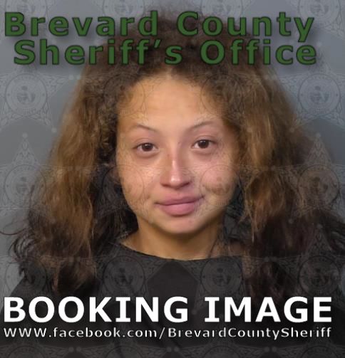 Mugshot of Amy Brandenburg
