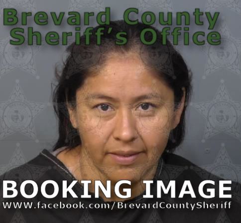 Mugshot of Lilian Azucena Lopez