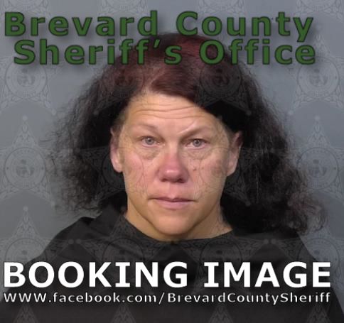 Mugshot of Susan Spitulski