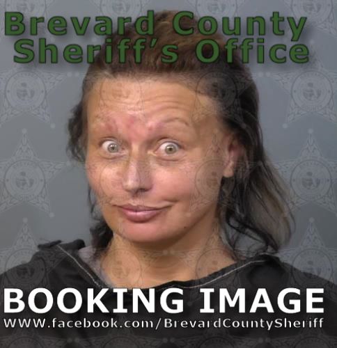 Mugshot of April Jones