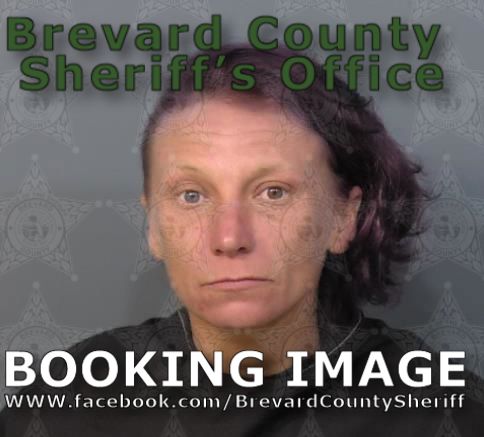 Mugshot of Crystal Redwine