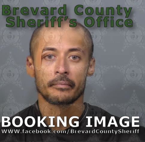 Mugshot of Jonathan Shane Lee